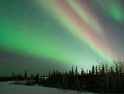 Fakta Menarik Tentang Greenland Tempat Muncul Aurora di Tengah Malam
