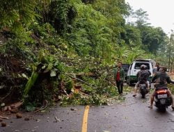Tebing Setinggi 20 Meter di Bantargadung Sukabumi Longsor, Akses Jalan Terhambat