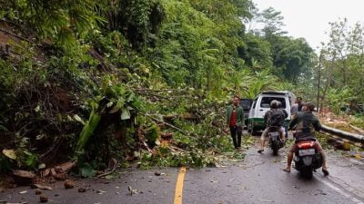 Tebing Setinggi 20 Meter di Bantargadung Sukabumi Longsor, Akses Jalan Terhambat