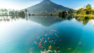 Pesona Embung Kledung Temanggung, Panorama Gunung Sindoro dan Gunung Sumbing
