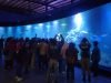 Jelang Nataru, Aquarium Raksasa di Pangandaran Resmi Dibuka