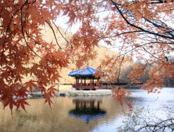 8 Wisata Korea yang Dijadikan Syuting Drakor