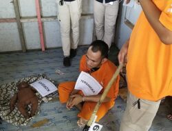 Polisi Gelar Rekontruksi Pembunuhan Bayi 8 Bulan di Pangandaran