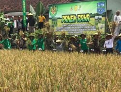 Kodim 0613 Ciamis Bersama Pemkot Banjar Laksanakan Panen Raya Padi