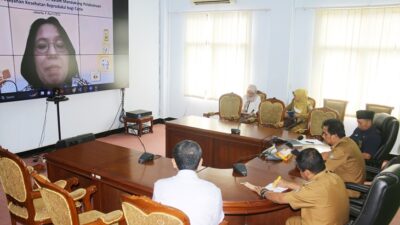 Wabup Ciamis Ikuti Webinar Bersama Kemenkes RI, Ini Yang Dibahas