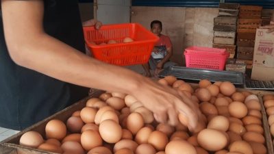 Harga Telur Ayam di Banjar Tembus Rp 32 Ribu Per Kilogram