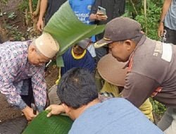 Perayaan Idul Adha di Ponpes Asy-Syifa Padaherang, Antusiasme Masyarakat Meningkat