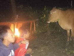 Santri Pondok Pesantren Asy-Syifa Padaherang Siapkan Pengamanan Malam Takbir Idul Adha