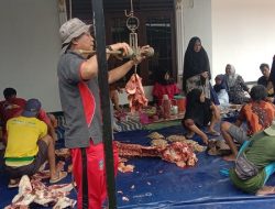 Warga Kecamatan Kalipucang Gotong Royong Ibadah Kurban 