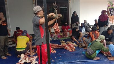 Warga Kecamatan Kalipucang Gotong Royong Ibadah Kurban 