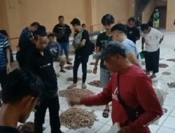 Momentum Idul Adha Membawa Berkah Bagi Para Nelayan