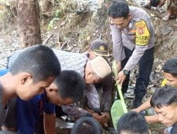 Proses Pemotongan Hewan Kurban di Pondok Pesantren Asy-Syifa Terbilang Cepat dan Higienis