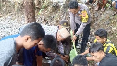 Proses Pemotongan Hewan Kurban di Pondok Pesantren Asy-Syifa Terbilang Cepat dan Higienis