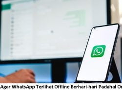 Cara Agar WhatsApp Terlihat Offline Berhari-hari Padahal Online