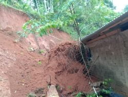 Diguyur Hujan 2 Hari, Tebing Setinggi 10 Meter di Langkaplancar Pangandaran Longsor