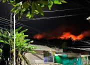Hutan Dekat Perkampungan Warga di Padaherang Pangandaran Terbakar