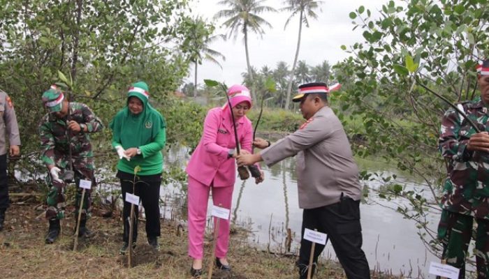 Jaga Kelestarian Lingkungan, Bulaksetra Ditanami Ribuan Pohon Mangrove
