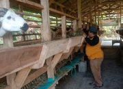 Ketahanan Pangan: Mendorong Pertumbuhan Ekonomi Melalui Program Desa Berkelanjutan