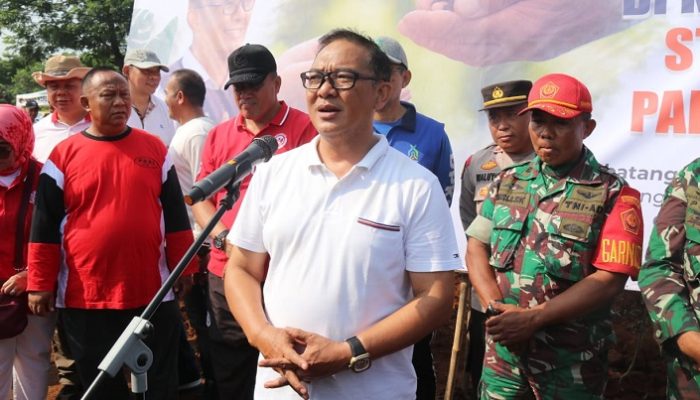 Tanam Ratusan Pohon di Kawasan Stadion Pakansari, Begini Kata Iwan Setiawan