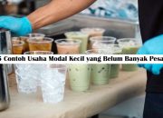 15 Contoh Usaha Modal Kecil yang Belum Banyak Pesaing