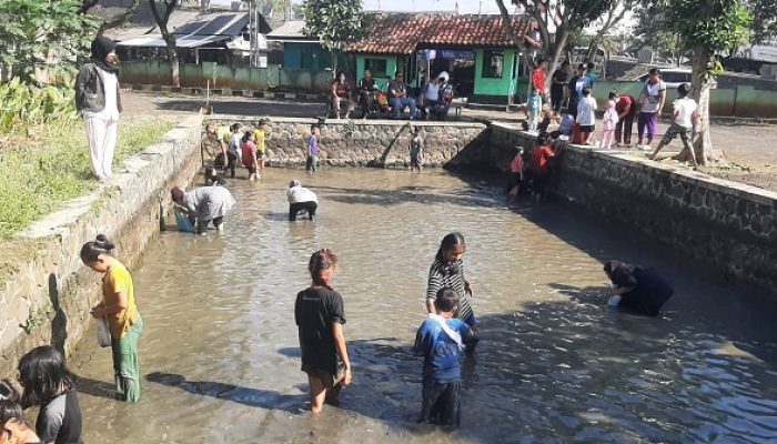 Ratusan Warga di Banjar Ngubyak Balong Adu Ketangkasan Menangkap Belut