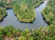 Situ Leutik Surut, Lahan Pertanian Seluas 78 Hektare di Kota Banjar Terancam Gagal Panen