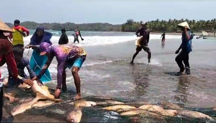 Panen Kakap Merah, Nelayan Batukaras Pangandaran Raup Cuan Rp 70 Juta