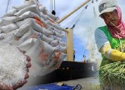 Mengatasi Kelangkaan Beras di Indonesia: Solusi dan Tantangan