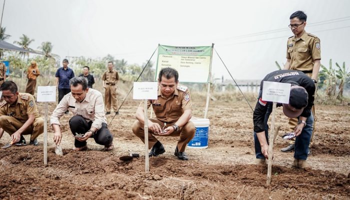 Wabup Yana Buka Kegiatan Training Of Farmer untuk Petani Milenial Ciamis