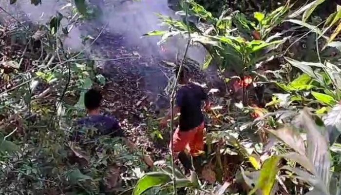 Lahan Hutan Jati di Gunung Sangkur Banjar Terbakar