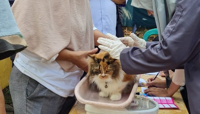 Diskanak Kabupaten Bogor Suntikan 3.000 Dosis Vaksin Rabies Secara Gratis Kepada Hewan Peliharaan