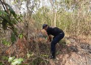 Kebakaran Lahan Dekat Pemukiman Warga Berhasil Dipadamkan Damkar Kota Banjar Dengan Cepat