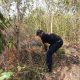 Kebakaran Lahan Dekat Pemukiman Warga Berhasil Dipadamkan Damkar Kota Banjar Dengan Cepat
