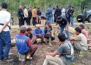 Belasan Orang Diduga Penebang Liar di RPH Cisaladah Pangandaran Diamankan Petugas Gabungan