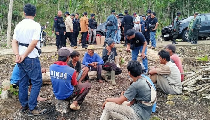 Belasan Orang Diduga Penebang Liar di RPH Cisaladah Pangandaran Diamankan Petugas Gabungan