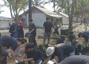 Jaga Lingkungan, HMI Komisariat Pangandaran Tanam Pohon Barringtonia di Pantai Batu Hiu