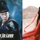 Sinopsis A Journey To love Chinese Drama