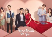 Nonton Drama China Got a Crush on You Sub Indo