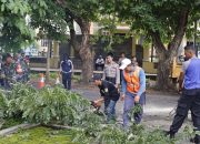Bahayakan Pengguna Jalan, Petugas Gabungan di Banjar Tebang Pohon