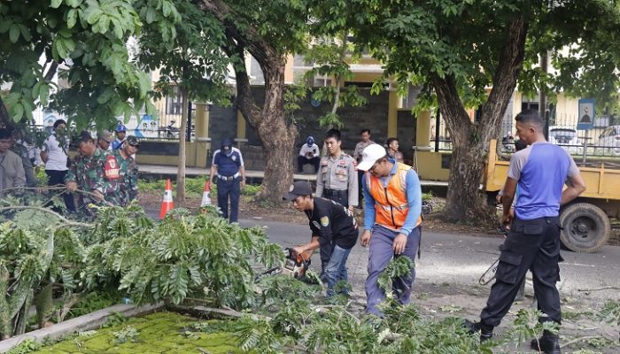 Bahayakan Pengguna Jalan, Petugas Gabungan di Banjar Tebang Pohon