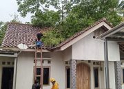 Pohon Raksasa Roboh di Banjar, BPBD Sigap Tangani Bencana