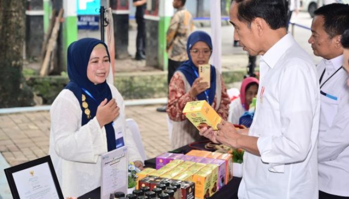 Wow! Presiden Jokowi Puji Produk UMKM Nasabah Mekaar, Apa Saja?