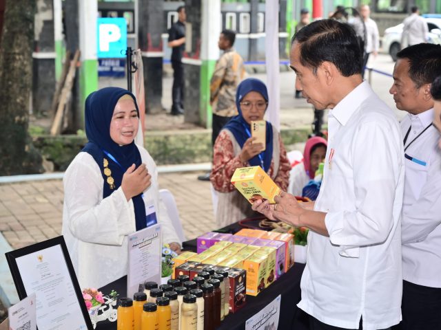 Wow! Presiden Jokowi Puji Produk UMKM Nasabah Mekaar, Apa Saja?