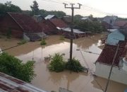 Banjir Cirebon: Ribuan Rumah Terendam, Warga Mengungsi