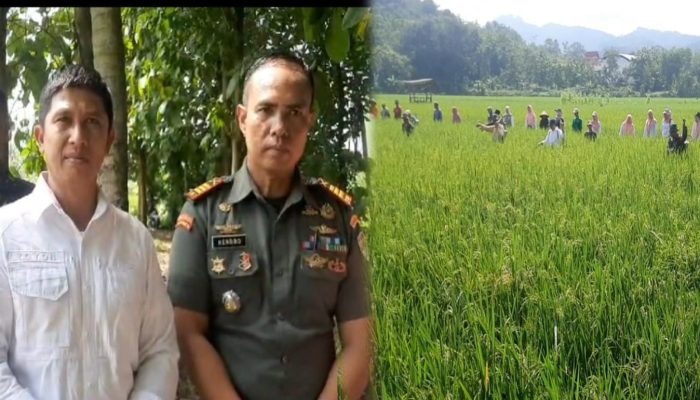 DKP3 Bersama Kodim 0613 Laksanakan Gerakan Pengendalian WBC di Desa Sukamukti