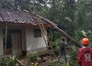 Pohon Kelapa Tumbang Timpa Rumah Warga di Kota Banjar