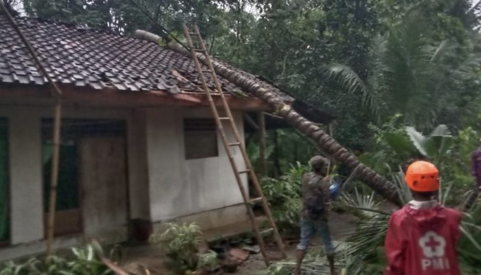 Pohon Kelapa Tumbang Timpa Rumah Warga di Kota Banjar