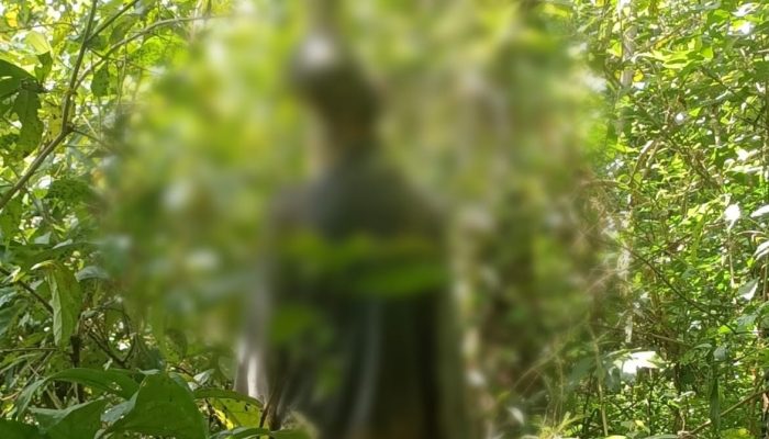 Heboh! Warga Pangandaran Temukan Mayat Laki-laki yang Membusuk Tergantung di Pohon