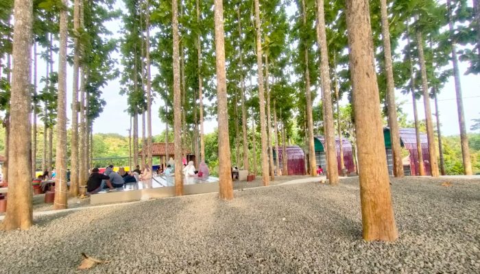 Tempat Wisata Baru di Pangandaran: “Djati Emplak”, Oase Tersembunyi yang Menjanjikan Keindahan Alam dan Kenyamanan