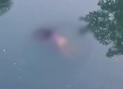 Warga Pangandaran Dihebohkan Penemuan Mayat Perempuan di Sungai Ciputrapingan